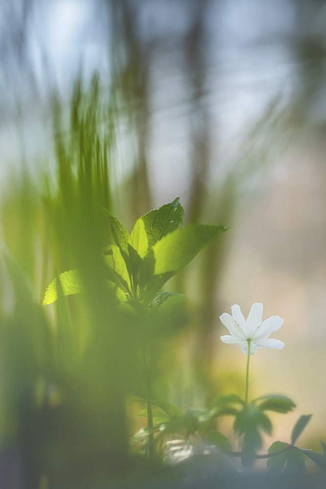 Platz 4 Conny Kleiner